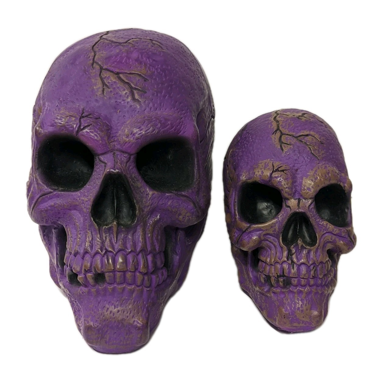 Vintage Halloween Easter Unlimited Rubber Foam Filled Prop Skull Life Like Lot 2