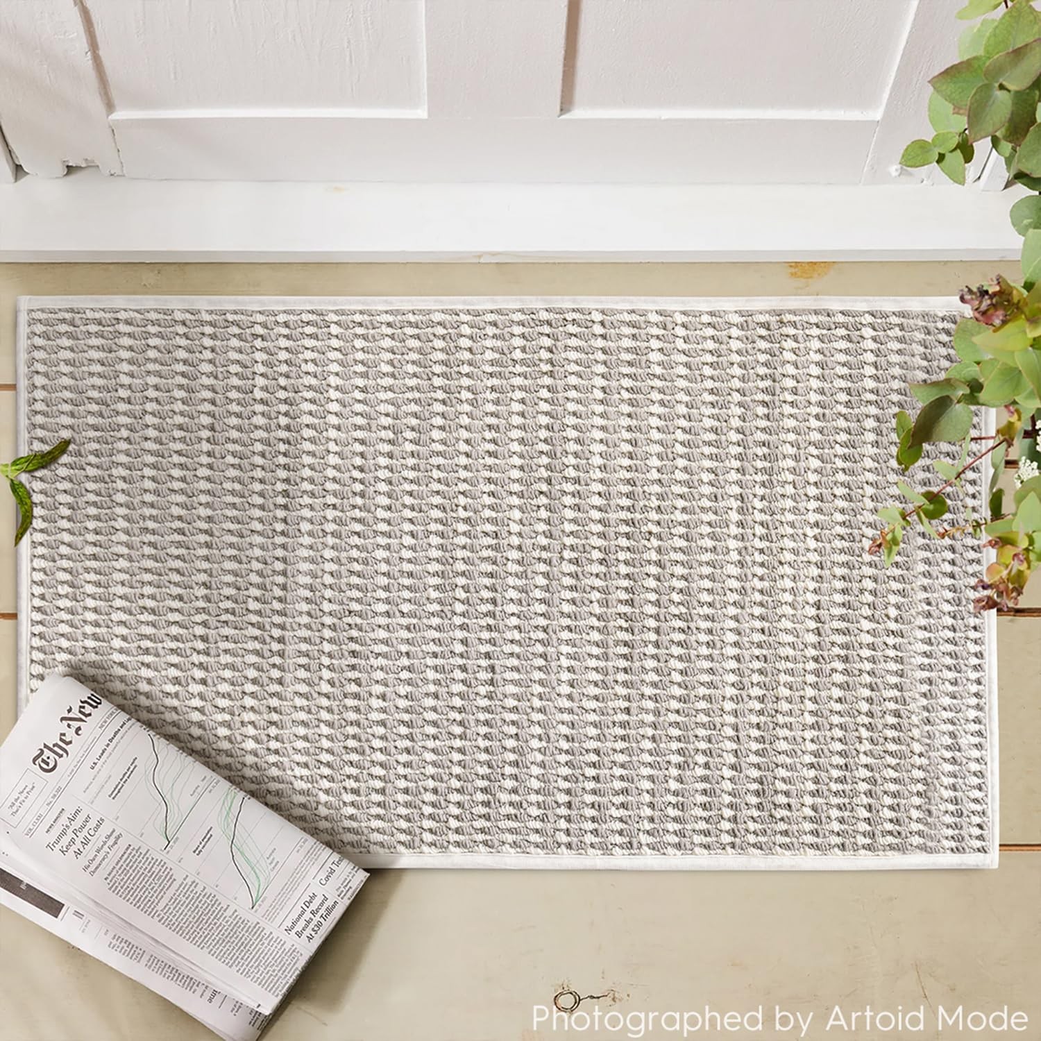 Artoid Mode Beige Grey 17x29 Machine Washable Non-Slip Absorbent Doormat