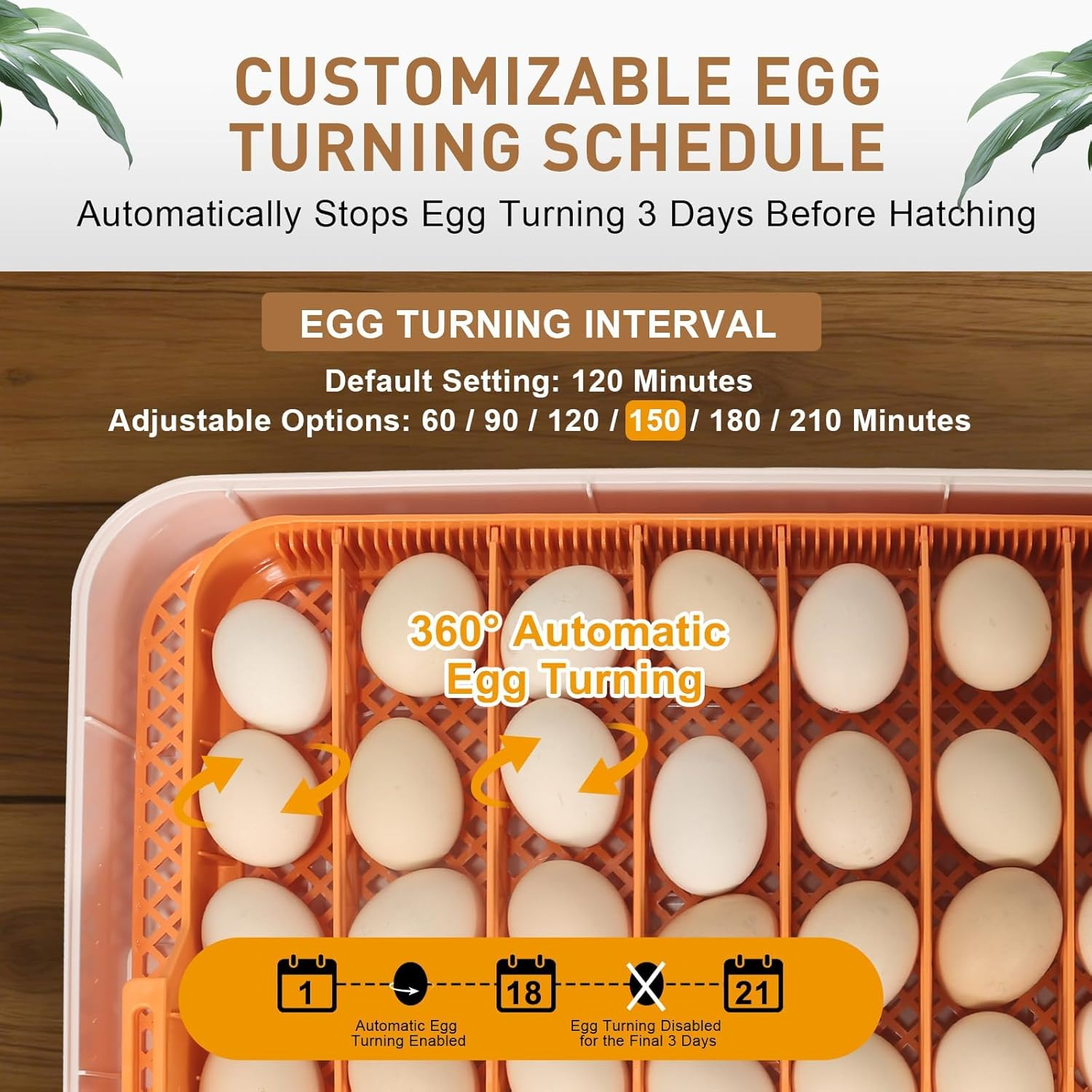 Gen IV 56 Egg Fully Automatic Incubator with Smart Temp & Humidity Control