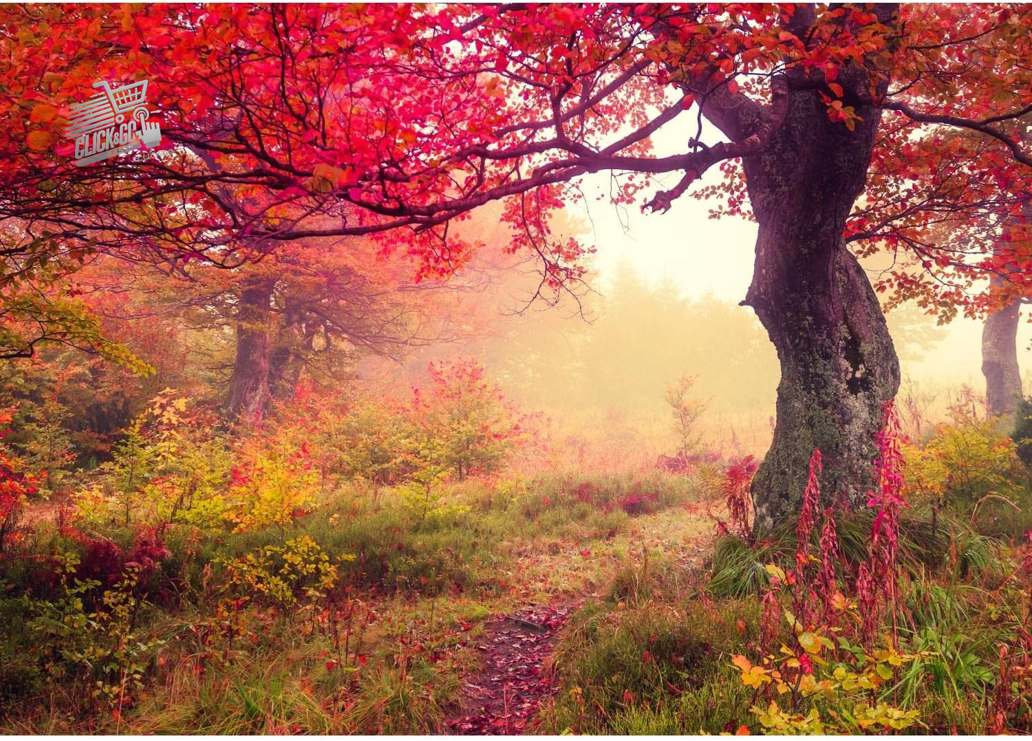 Photographic Wallpaper Forest in Autumn 352 X 250 Cm Fleece Wall Background XX
