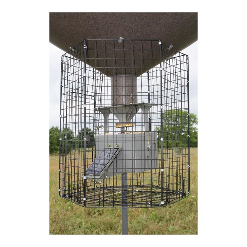 Gsm Bb-1.Vc Boss Buck Varmint Cage Large Deluxe Round
