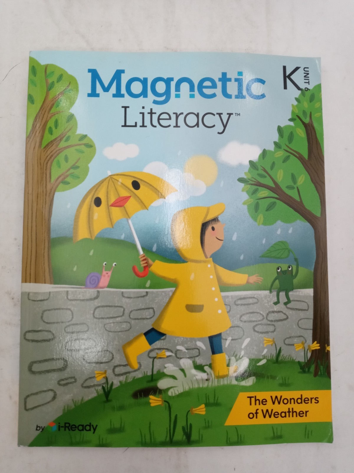 Magnetic Literacy Grade K Unit 6 The Wonders of Weather 9781663050434