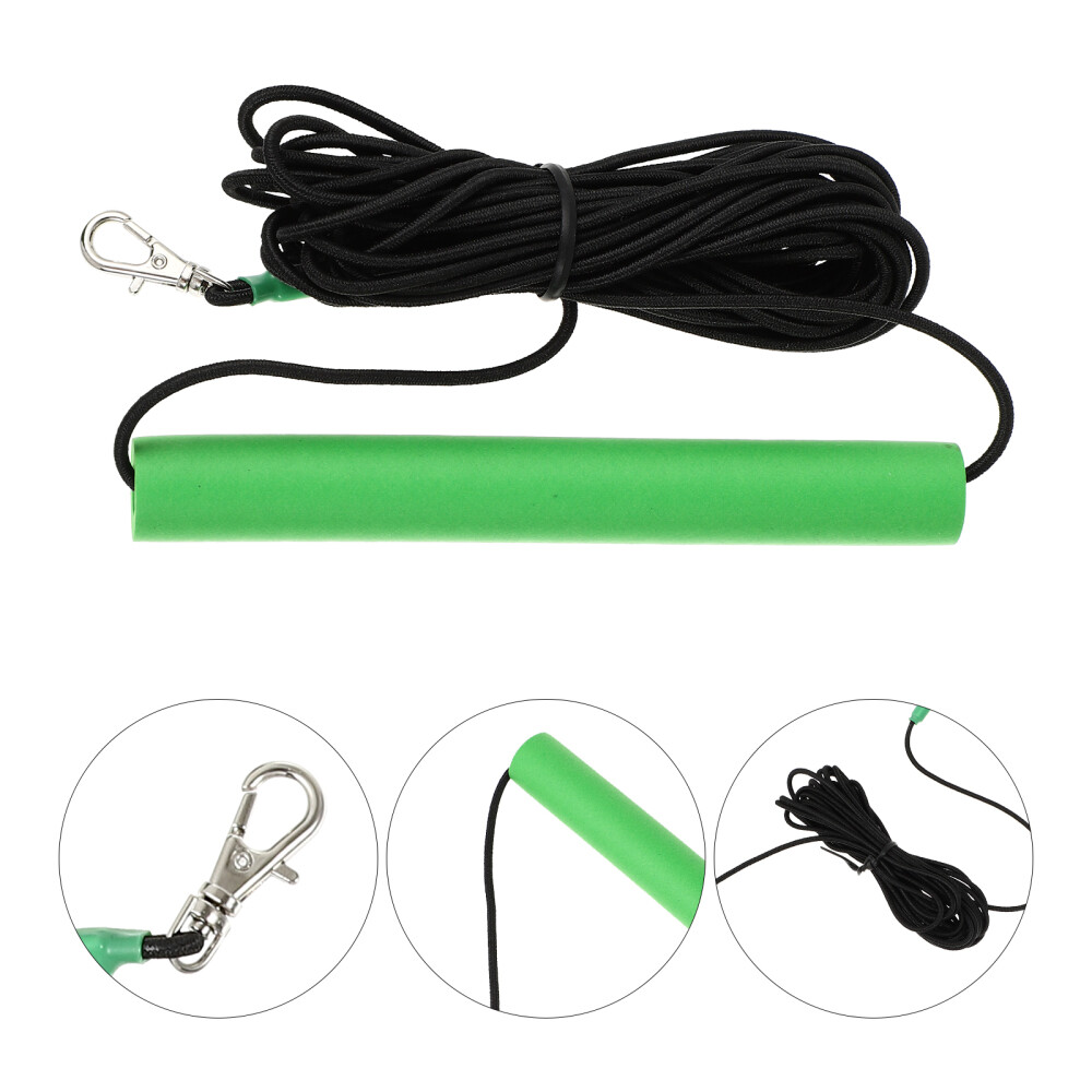 Conure Conure Bird Rope Hamster Leash Training