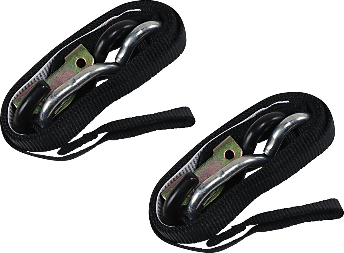 ANCRA 47295-10 1 Inch Tie-Downs 5-1/2 Feet Black