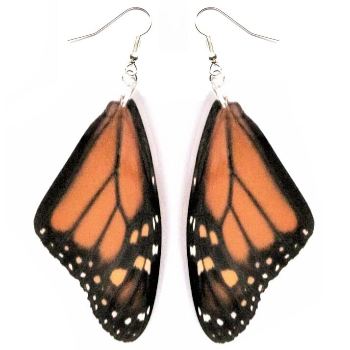 Danaus plexippus forewing orange monarch preserved butterfly wing earrings