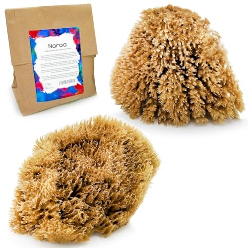 Natural Artist Sea Sponges for Painting 2 Pack | Large Art Tools for