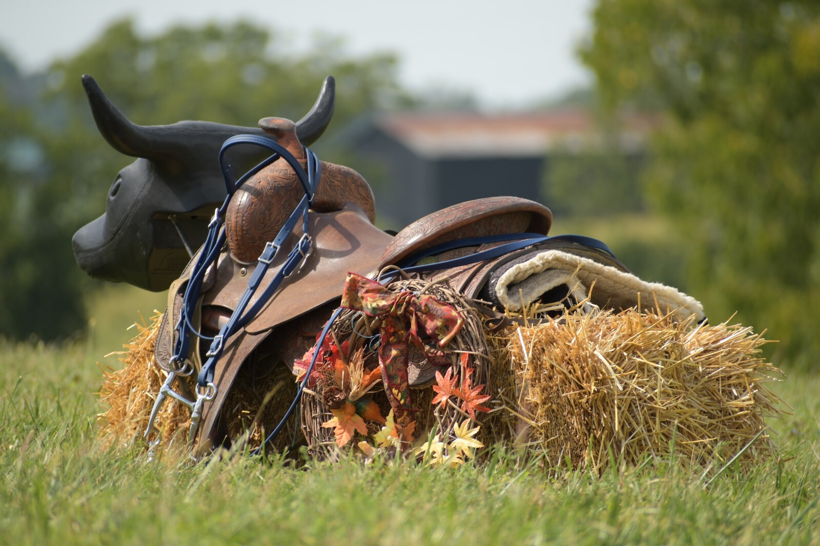 HORSE SIZE- Navy WESTERN BRIDLE made from BETA BIOTHANE