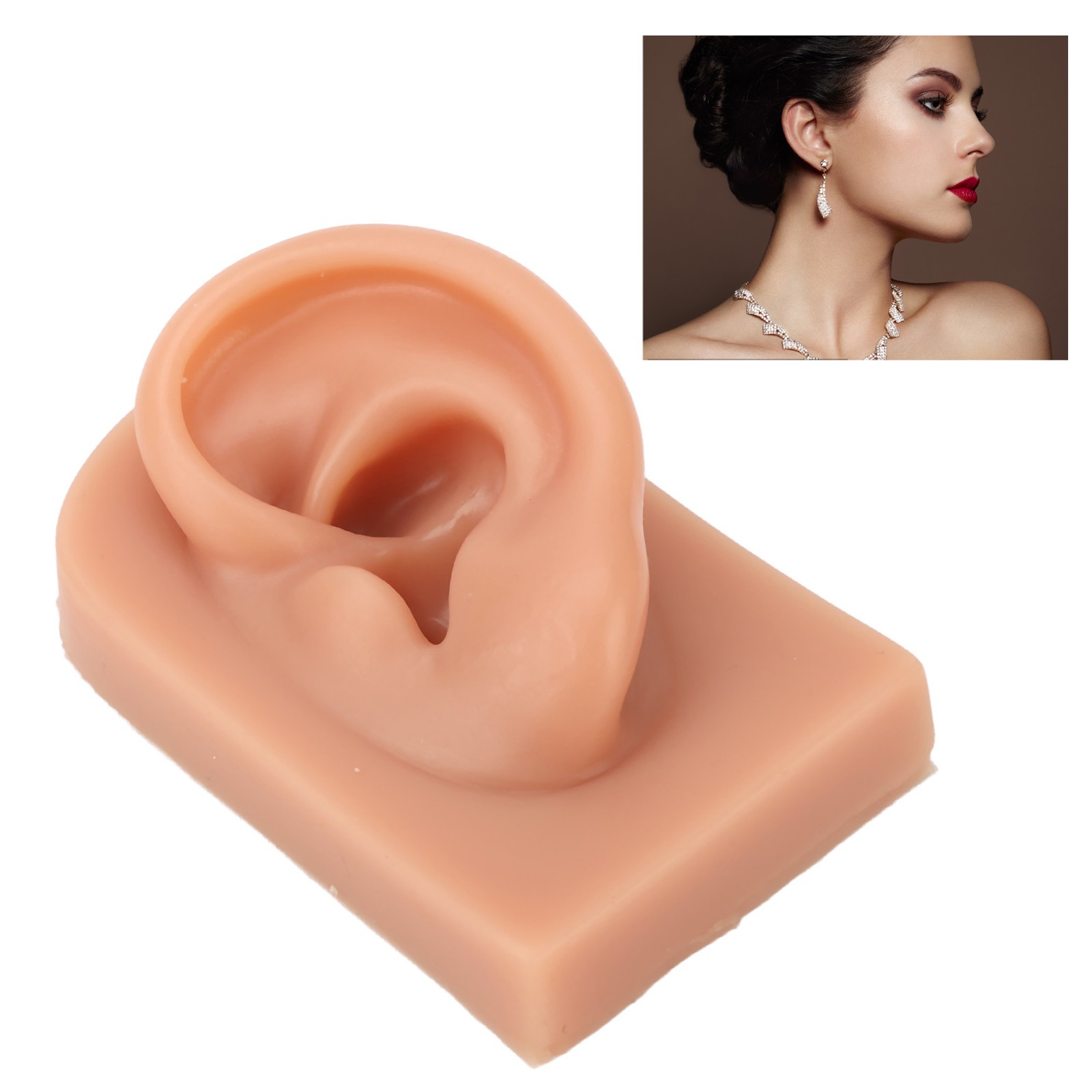 Professional Piercing Practice Ear Model For Earrings Display NEW↑