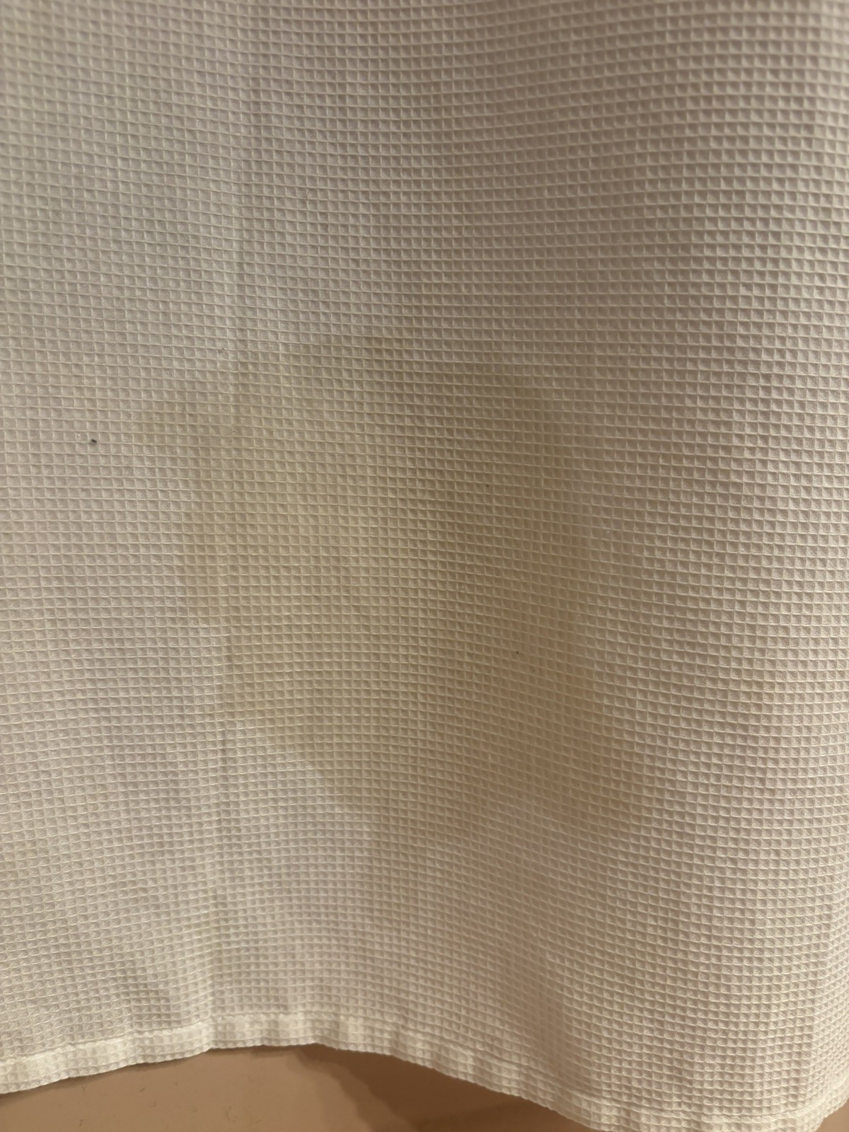 Shower Curtain with Oil Stain Resembling Donald Trump – Rare & Unbelievable!