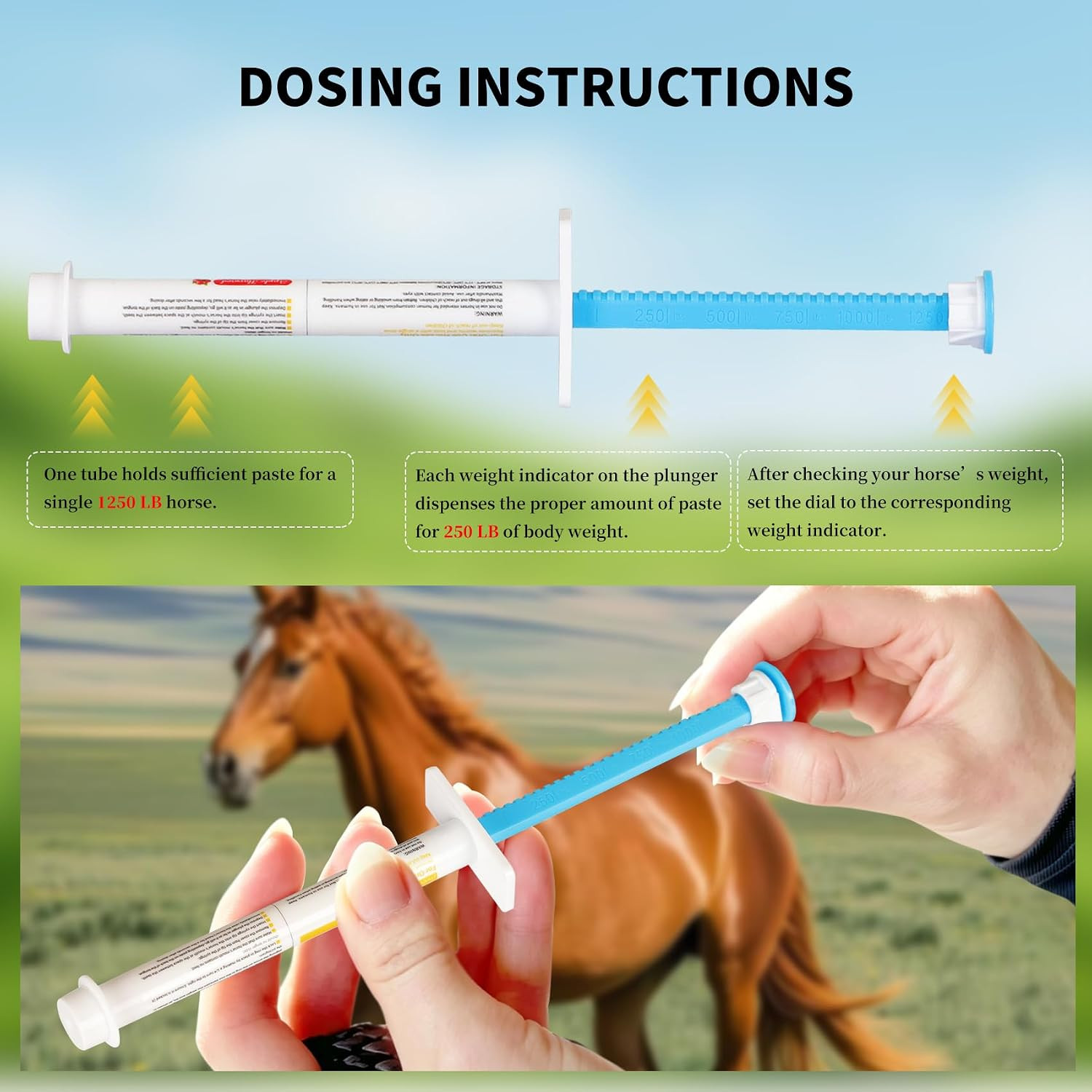 Paste 1.87% | Apple Flavored – 6.08g Tube for Horses, 6-Pack