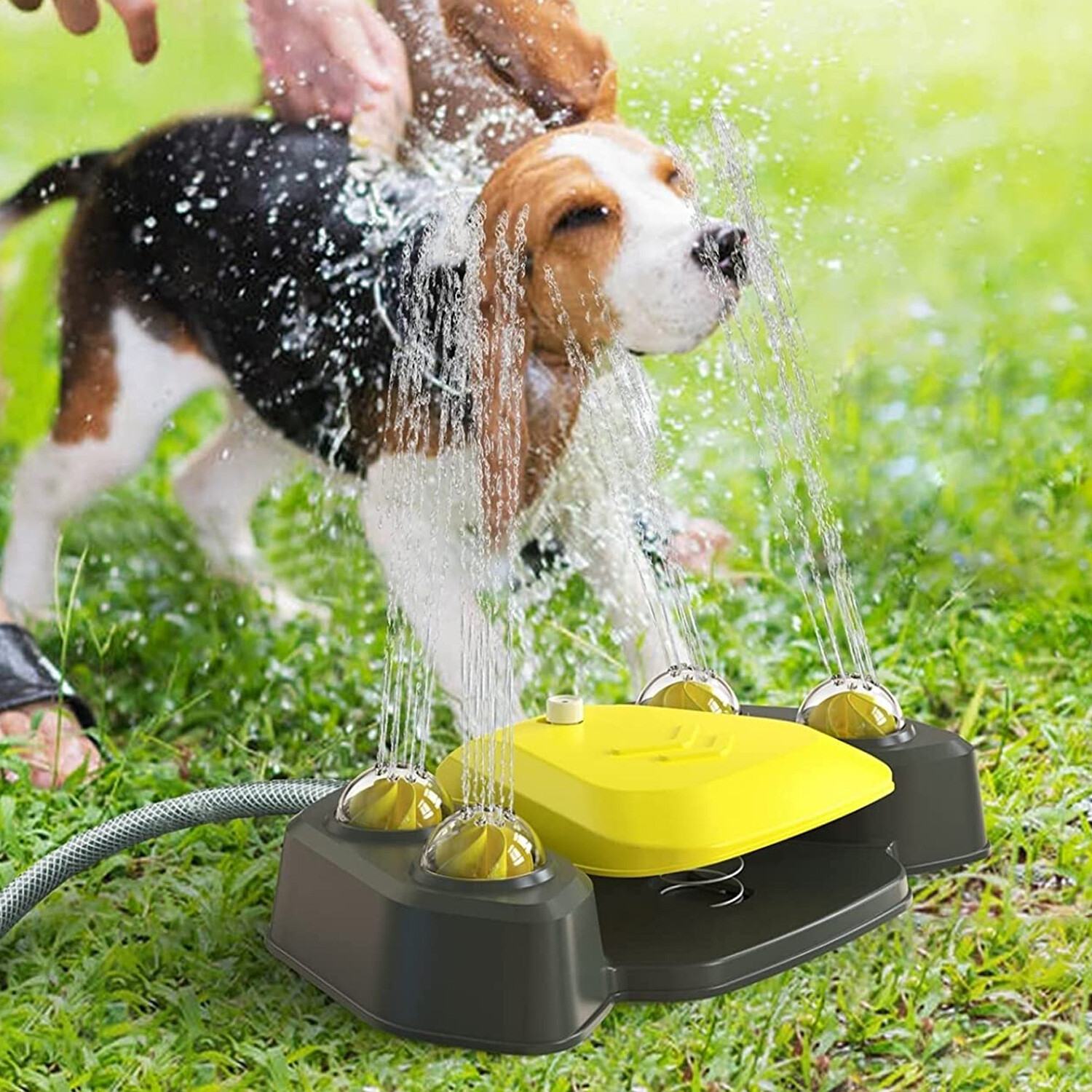 Outdoor Water Sprinkler Dog Water Fountain Summer Fun Toys Outside Step On