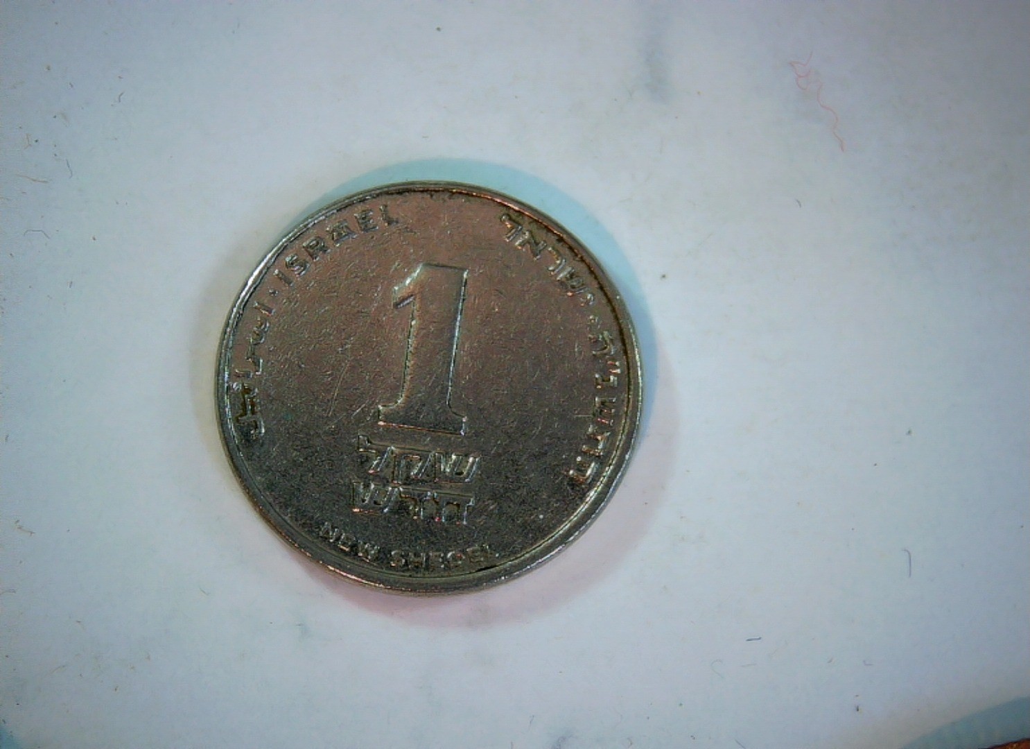 Israel 1 New Sheqel Israel New Sheqel (stylized lily / Menorah-lily) Coin