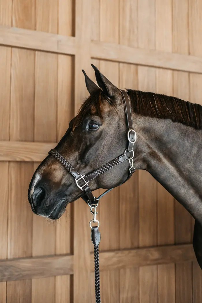 Dion WO Plaited Leather Halter