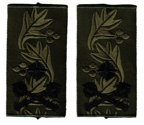 Ukrainian Major-General shoulder slides on OD
