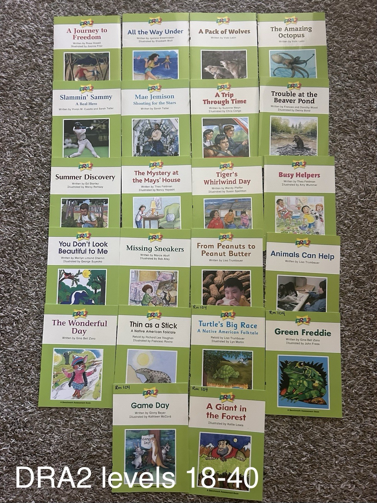 DRA2 Developmental Reading Assessment K-3 Levels 18-40*  Lot of 22 books