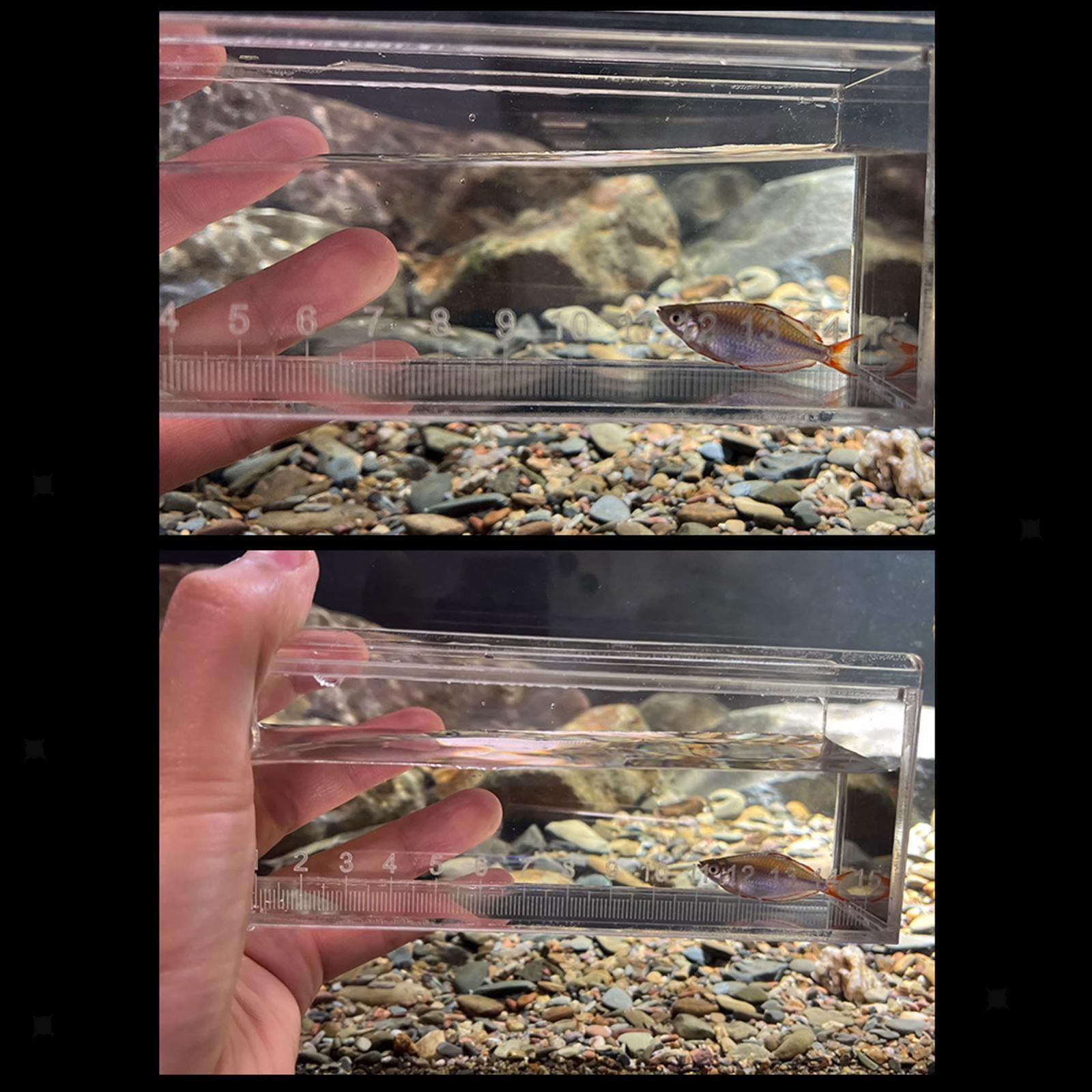 Fishing Photo Tank Viewing Box Acrylic Small Holder Transparent Safe Storage Box