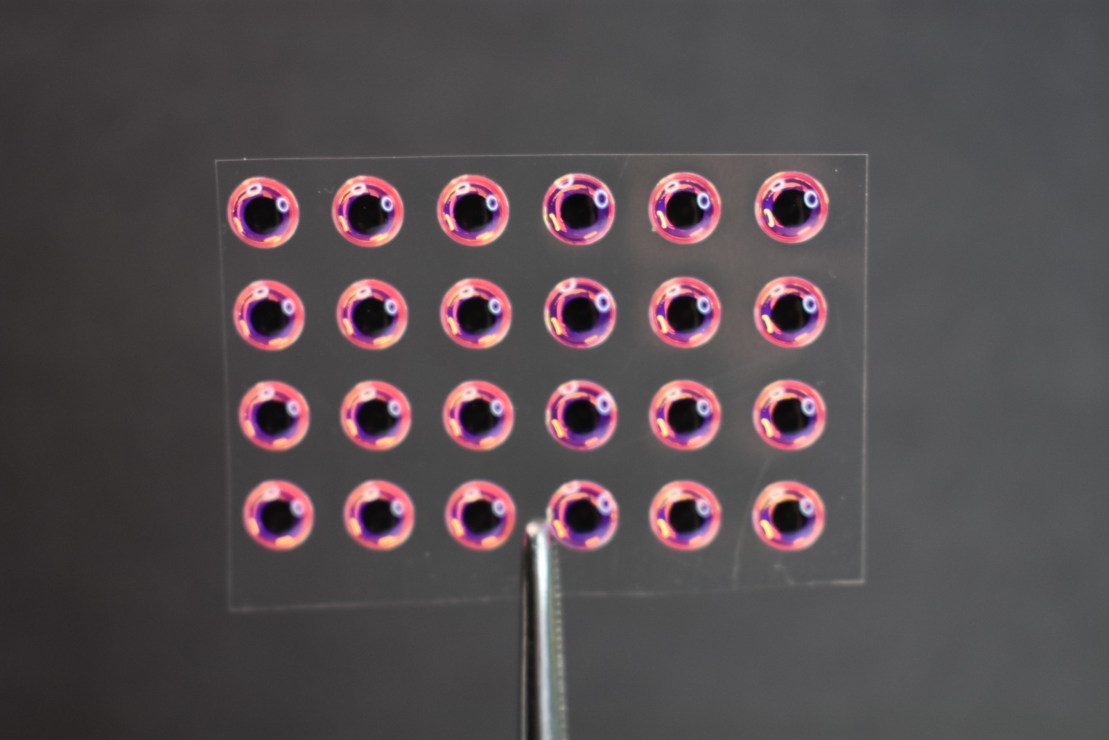 24, NEON PINK w/ Black Pupil, 1/8" 3mm, 3D Soft Molded Lure Eyes Fly Tying