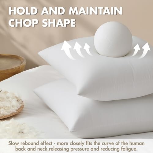 Pack of 4 22x22 Pillow Inserts, Premium Feather and Down Decorative 22x22 Inch
