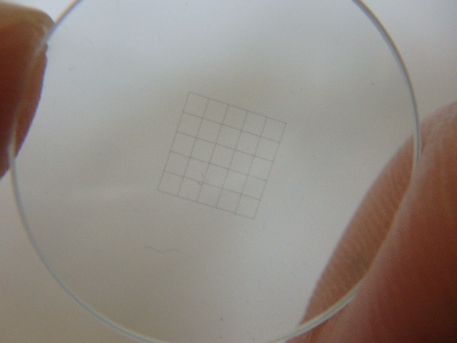 Eyepiece graticule 20.5mm for microscope ; grid 5x5 1mm each