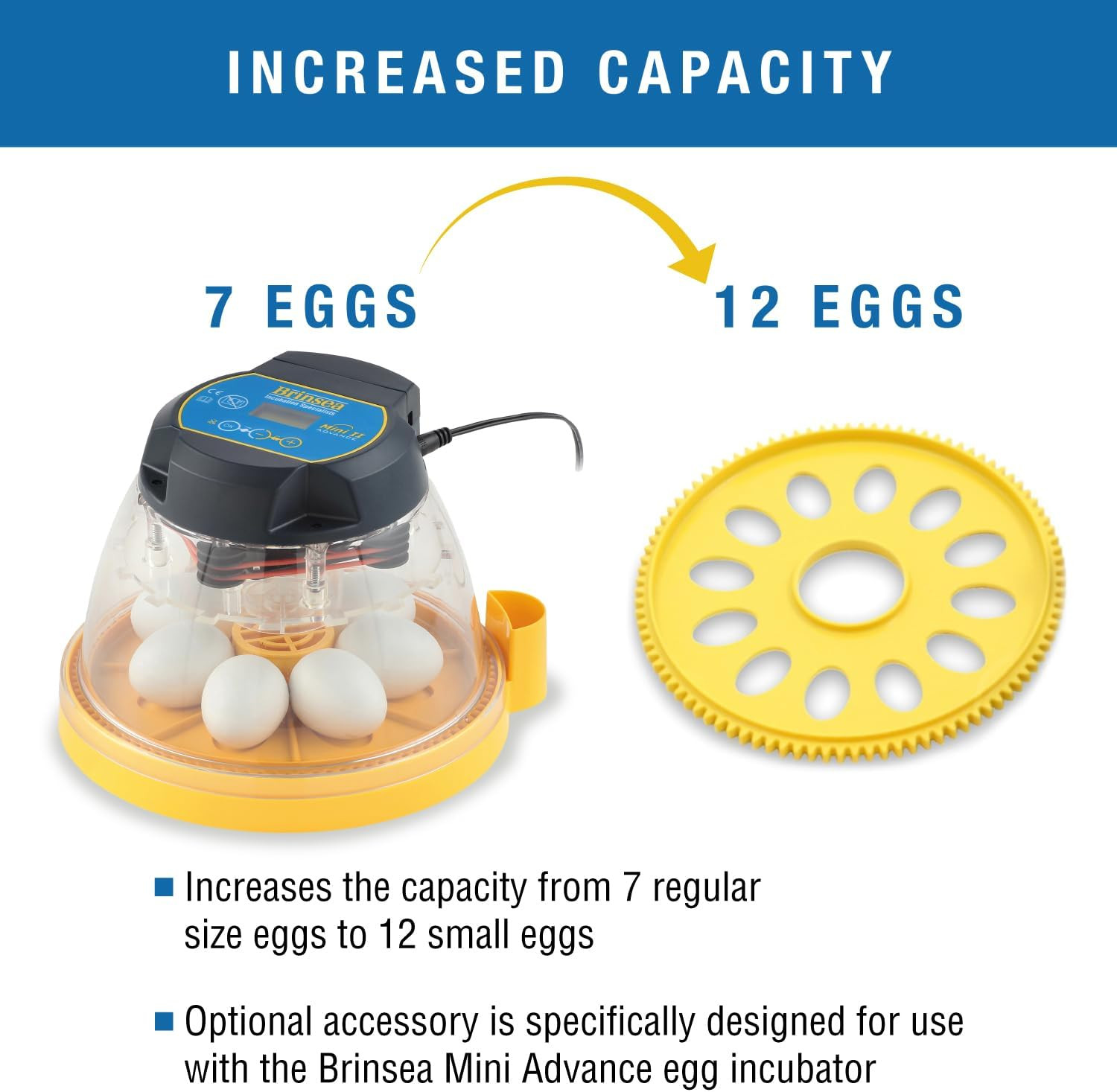 Small Egg Insert Optional Accessory for Mini Advance Incubator System, Fits 12 P