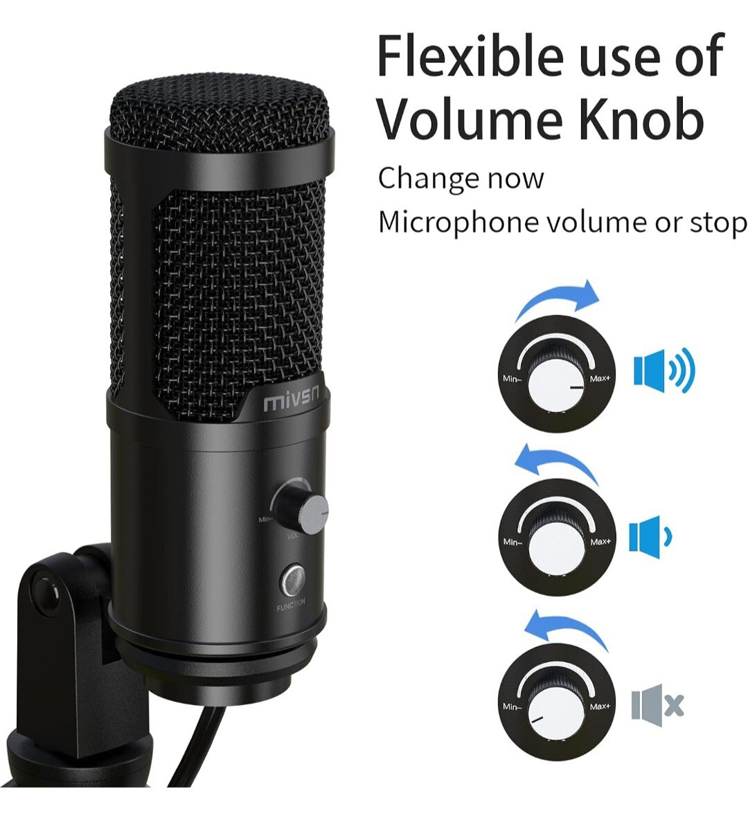 Computer Microphone