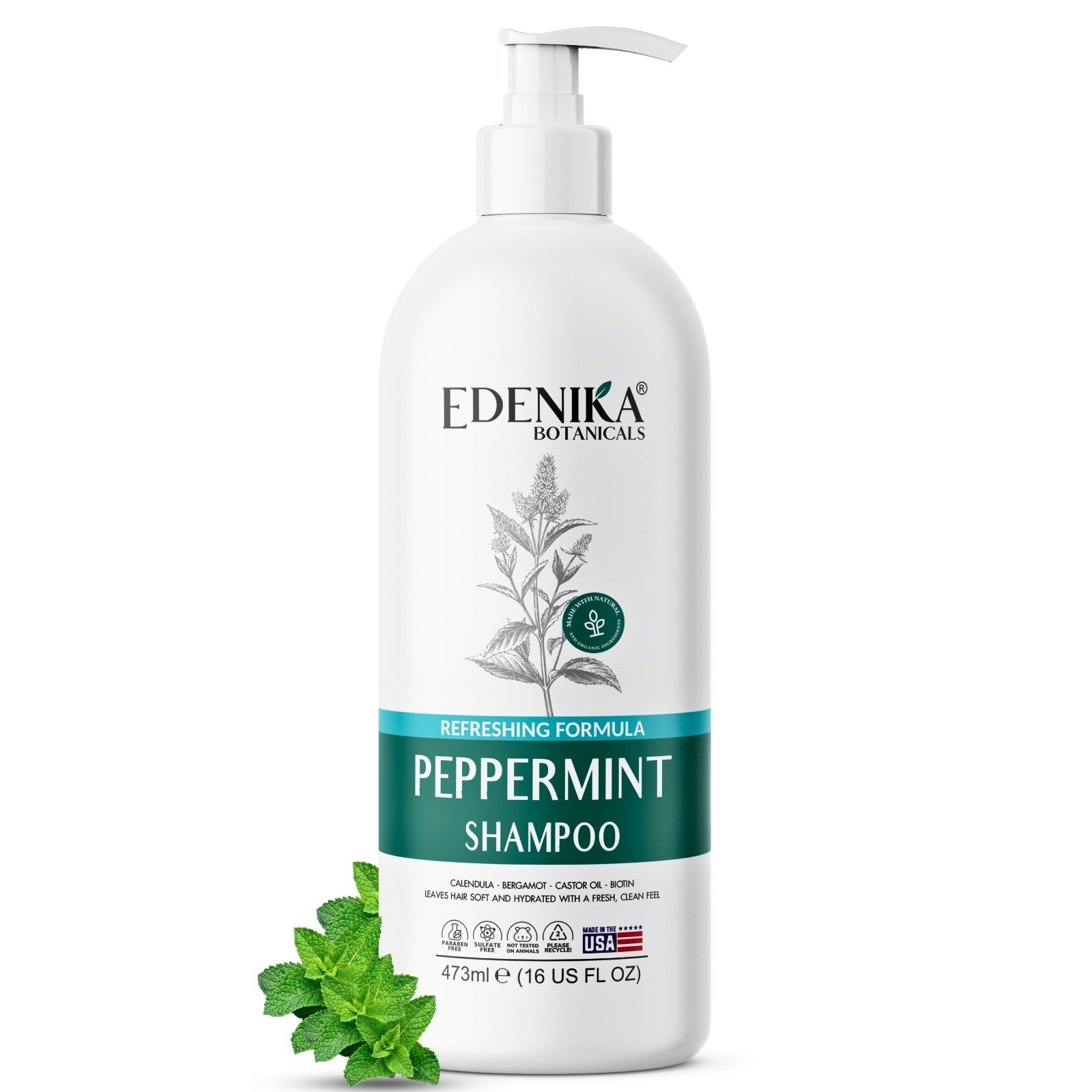 Edenika Peppermint Shampoo Biotin Castor Itchy Scalp Sulfate Free Volume 16 oz