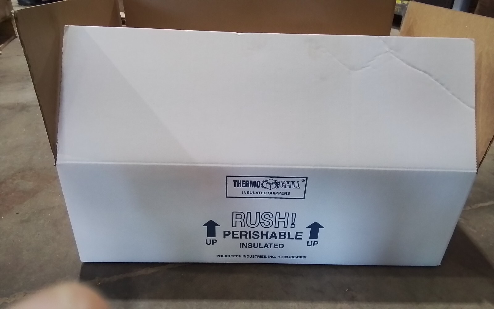 Polar Tech ON55KD Thermo Chill Foam Shipper 22x14 (SW35)
