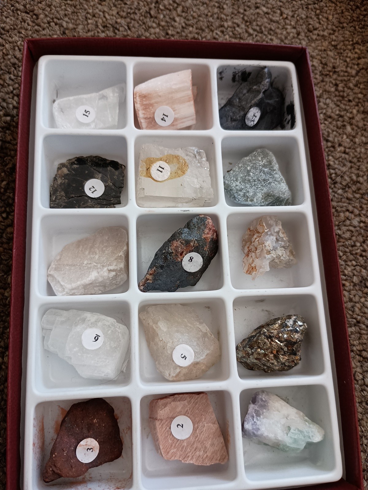 Home Science Tools Mineral Study Kit 15 Specimens