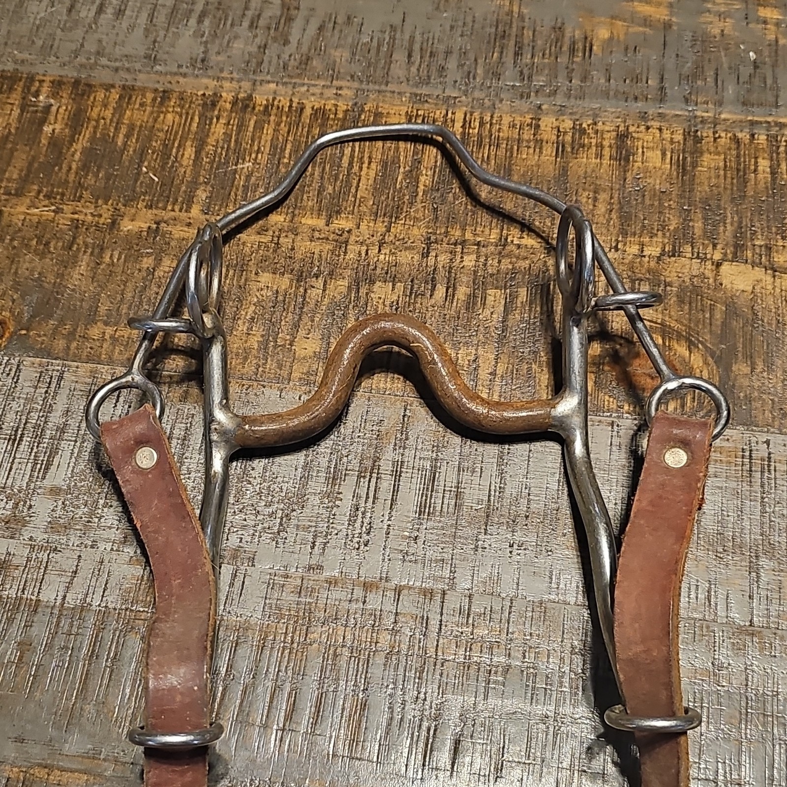 Trammell Steel Nose Grazing Bit