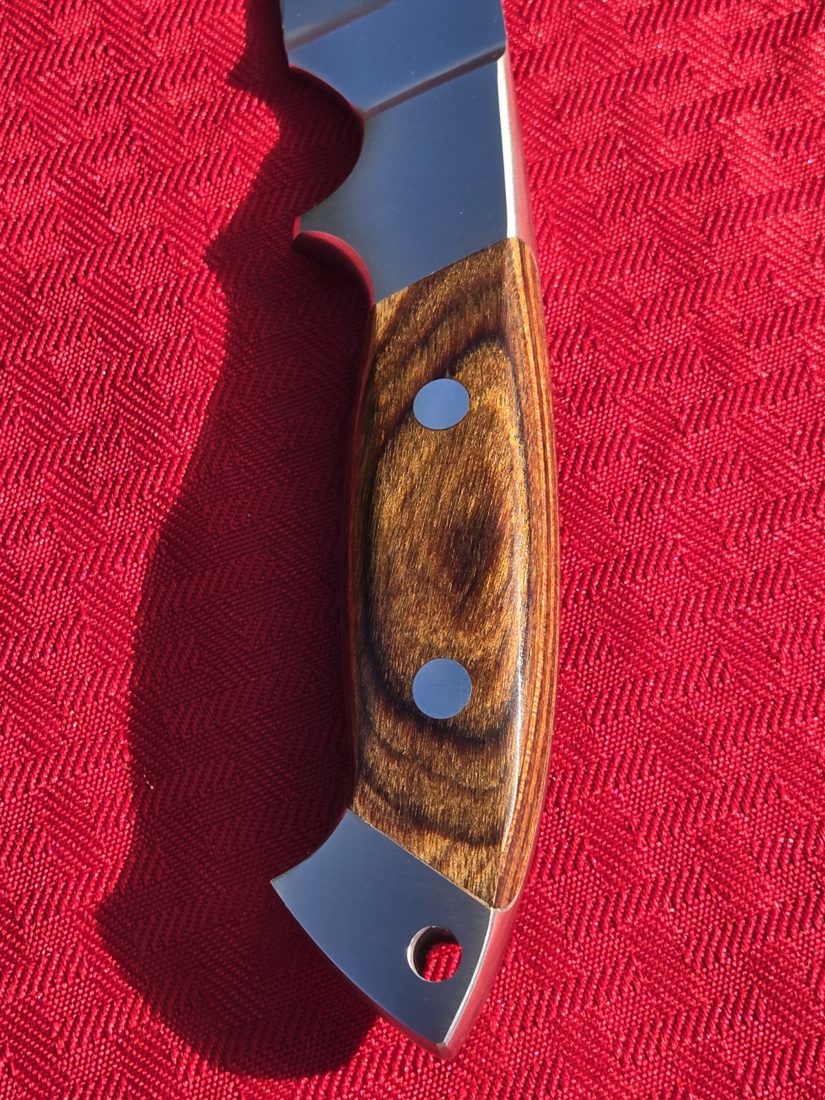 COLTELLO OLIVETTO Hunting Fixed Blade Hunter Knife Handle Italy UNUSED COND EXC