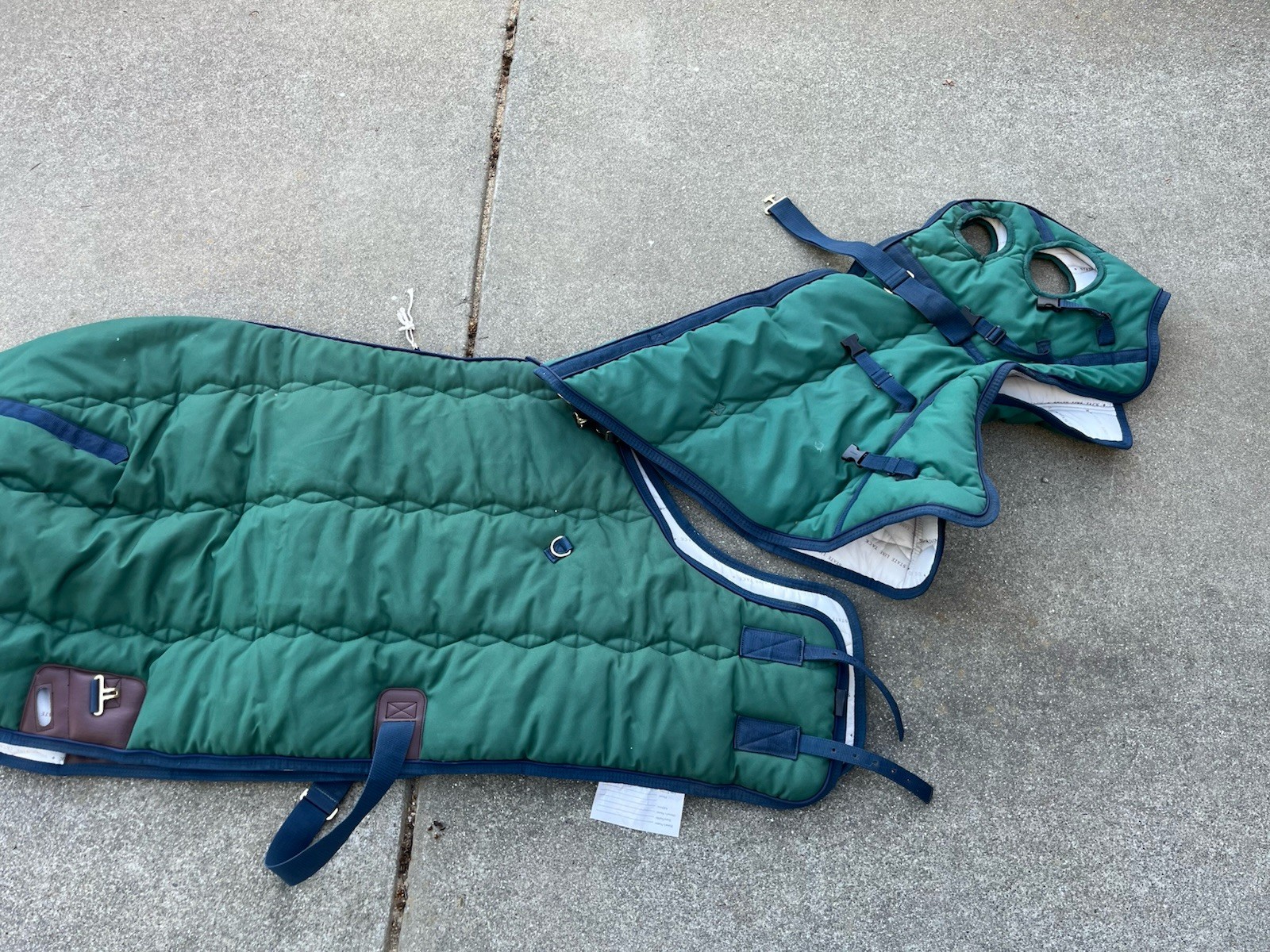 Stateline Tack- Green Turnout Blanket 66" Heavy Weight With Hood