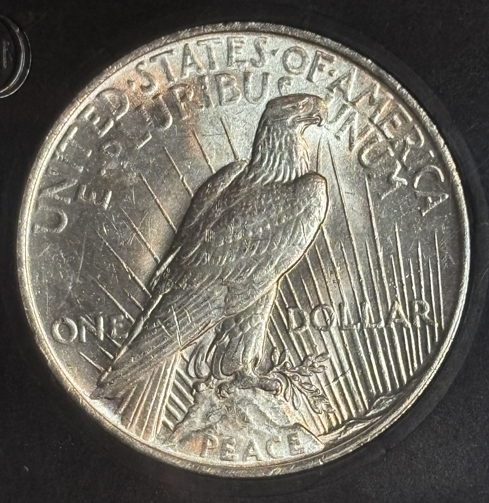 1922 P Peace Dollar - Uncirculated Slab