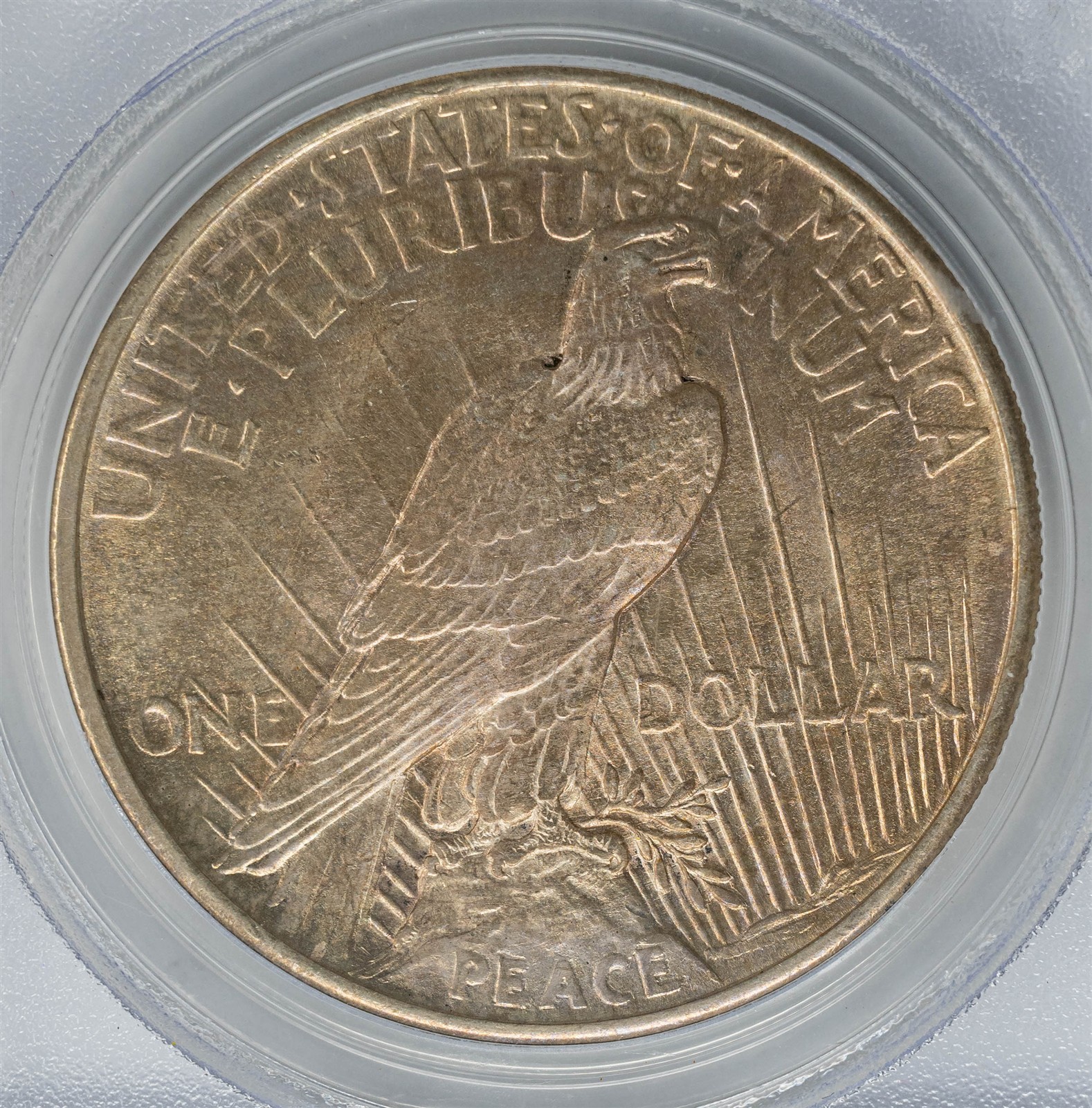 1921 Peace Silver Dollar $ MS64 PCGS 951672-5