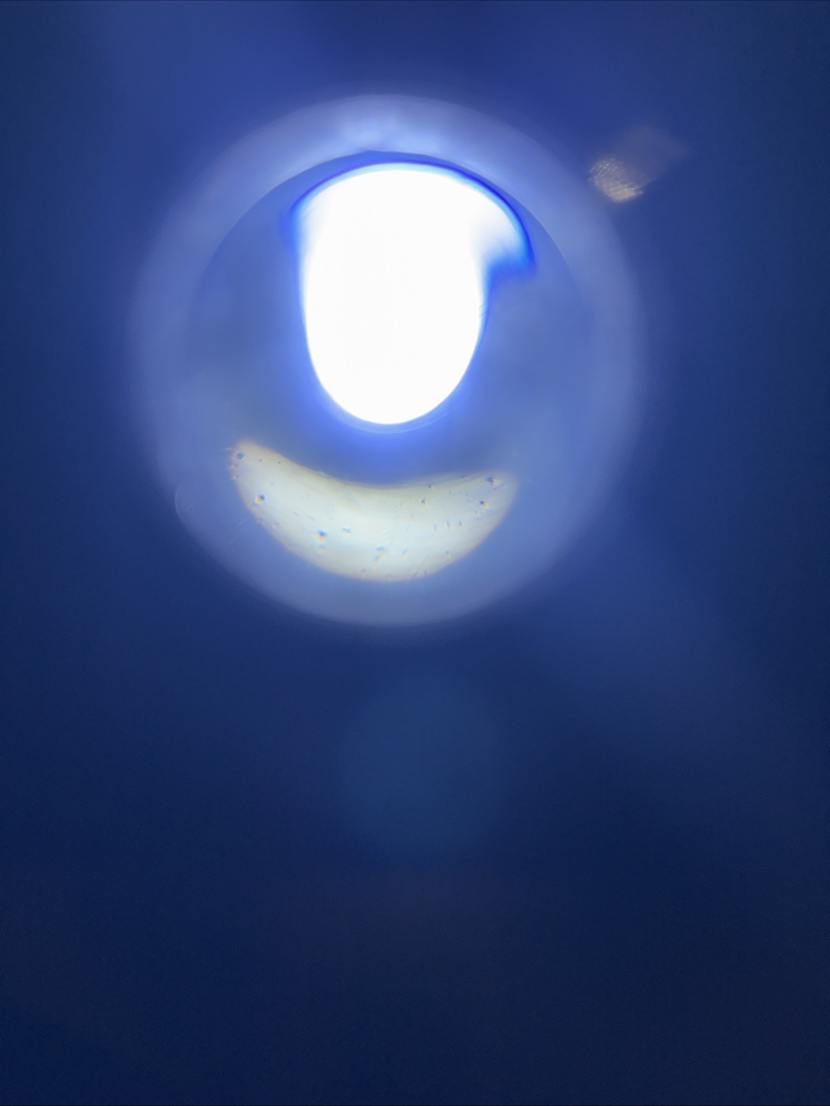 Princeton Tec Impact XL w/Retractor Scuba Diving Light