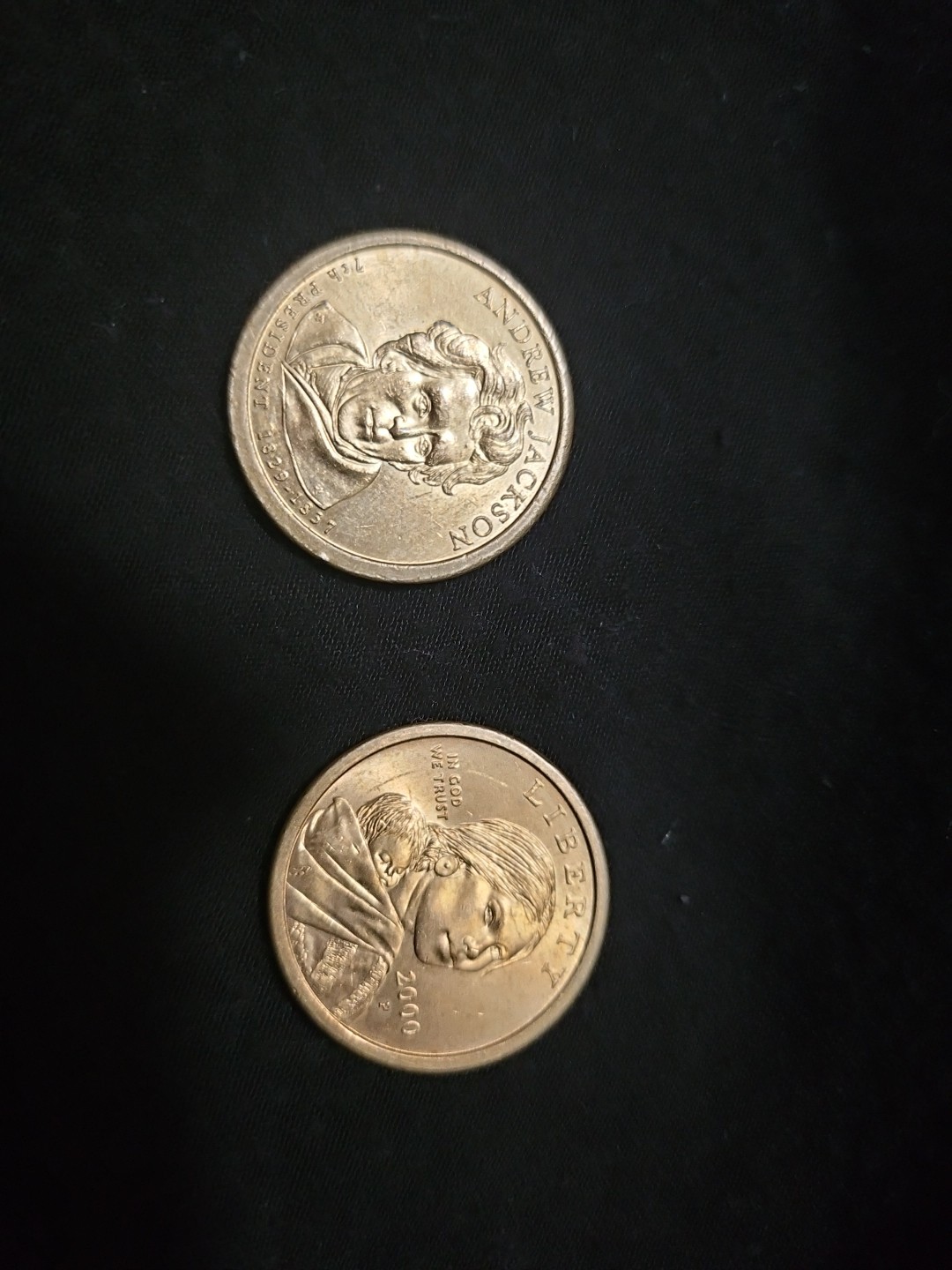 Sacagawea And Andrew Jackson Dollar Set
