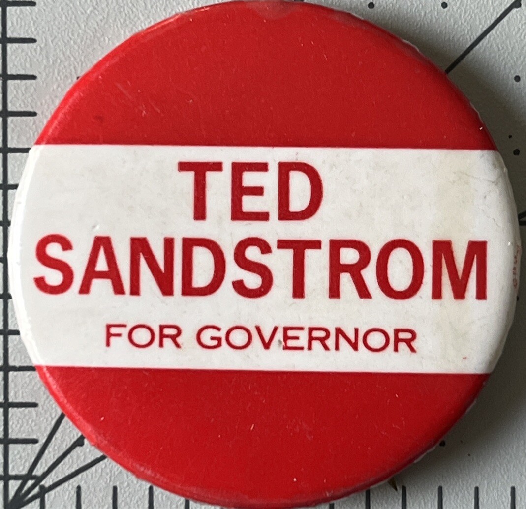 Pinback Theodore Ted Sandstrom Delaware Political Campaign Button Democrat 1972