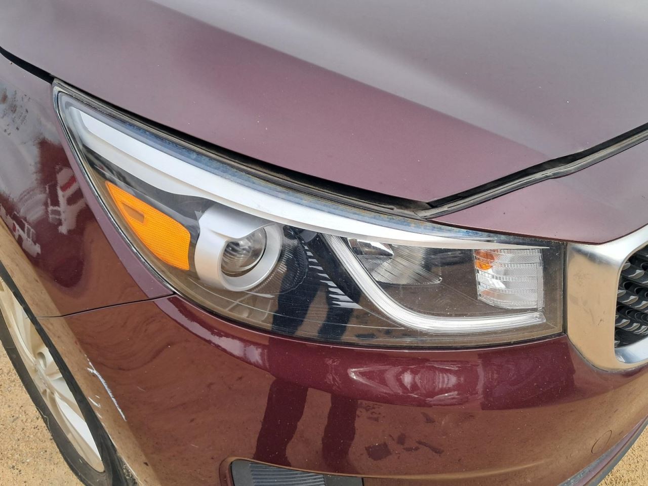 SEDONA 2016 Glove Box 4879065