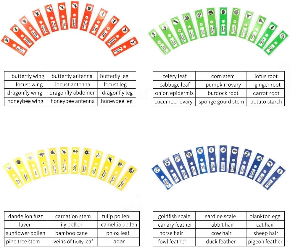 48 Prepared Microscope Slides for Kids - Safe & Clear Science Education