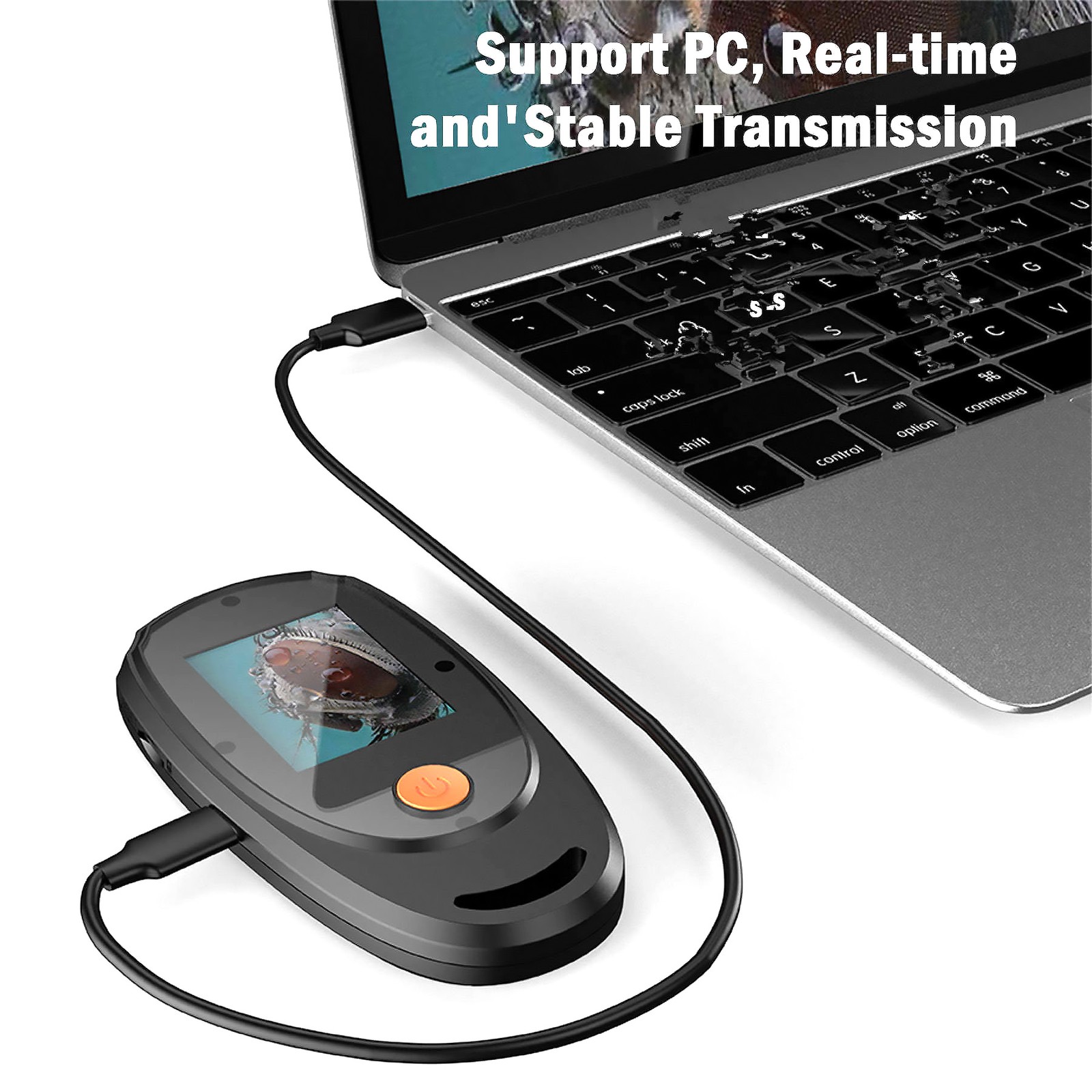 Handheld Digital Microscope Kit Fit JPG Image format Fit AVI Video format