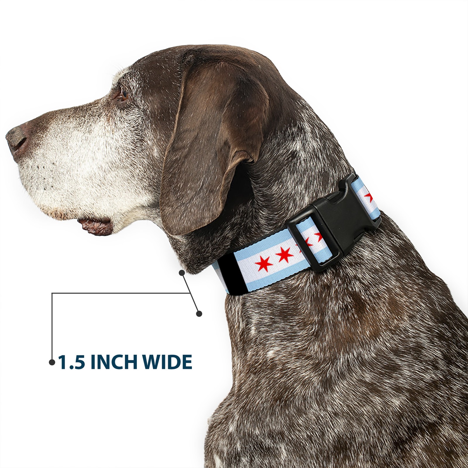 Plastic Clip Collar Chicago Flags/Black Large 15-24"