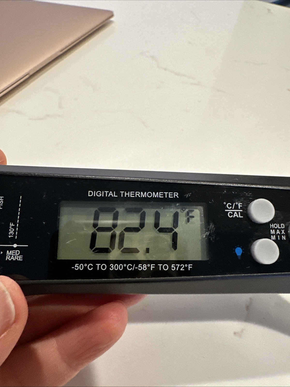 digital thermometer cooking
