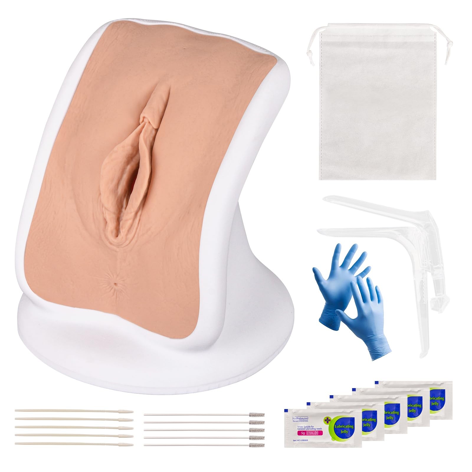 MedEduQuest Pelvic Health Model, Gynecological Examination Vulva Anatomical M...