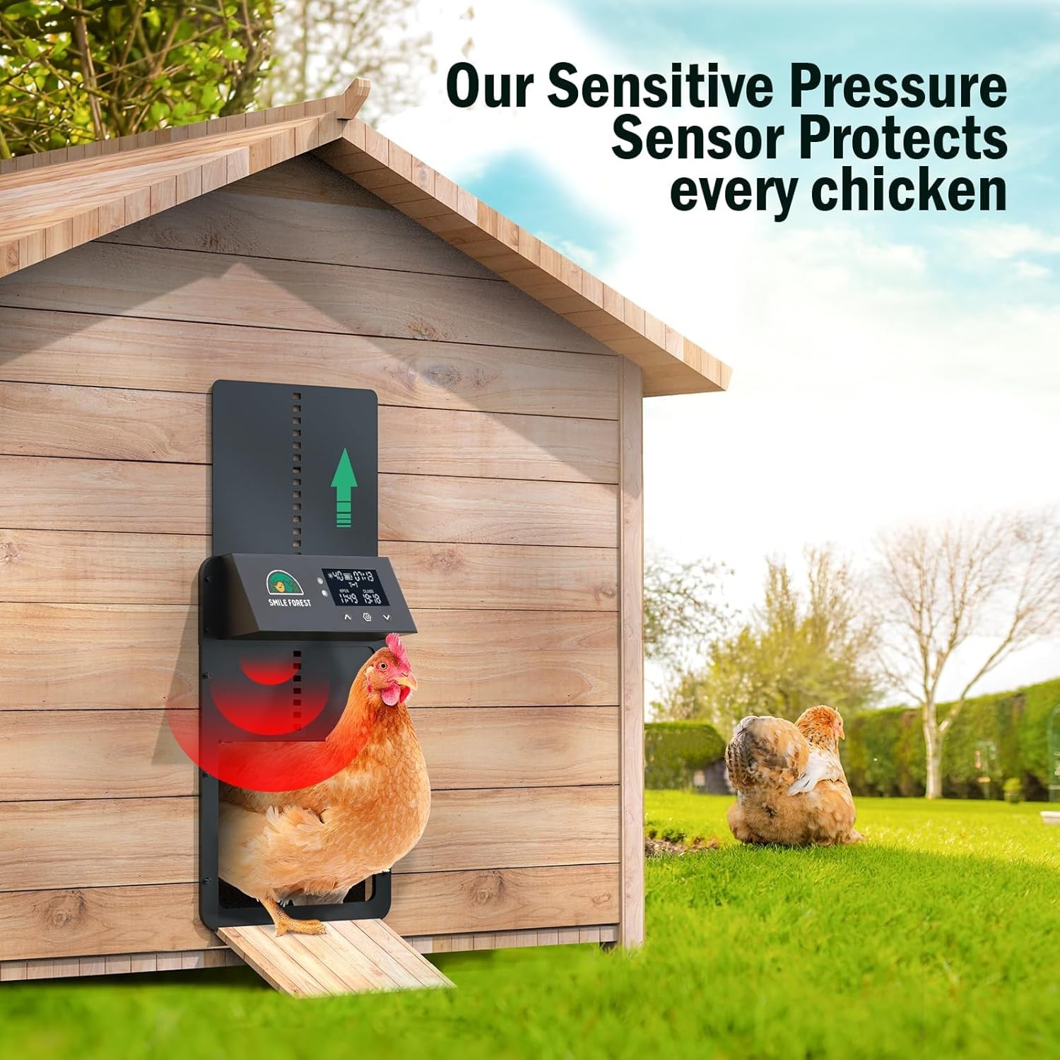 Automatic Chicken Coop Door Solar Powered Light Sensor Timer Poultry(76 chars)