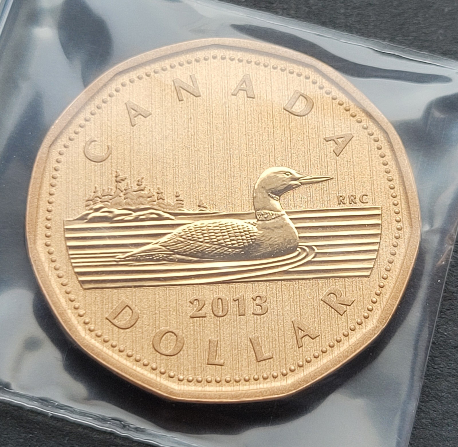 ***  CANADA   LOONIE  2013  ***  SPECIMEN  ***