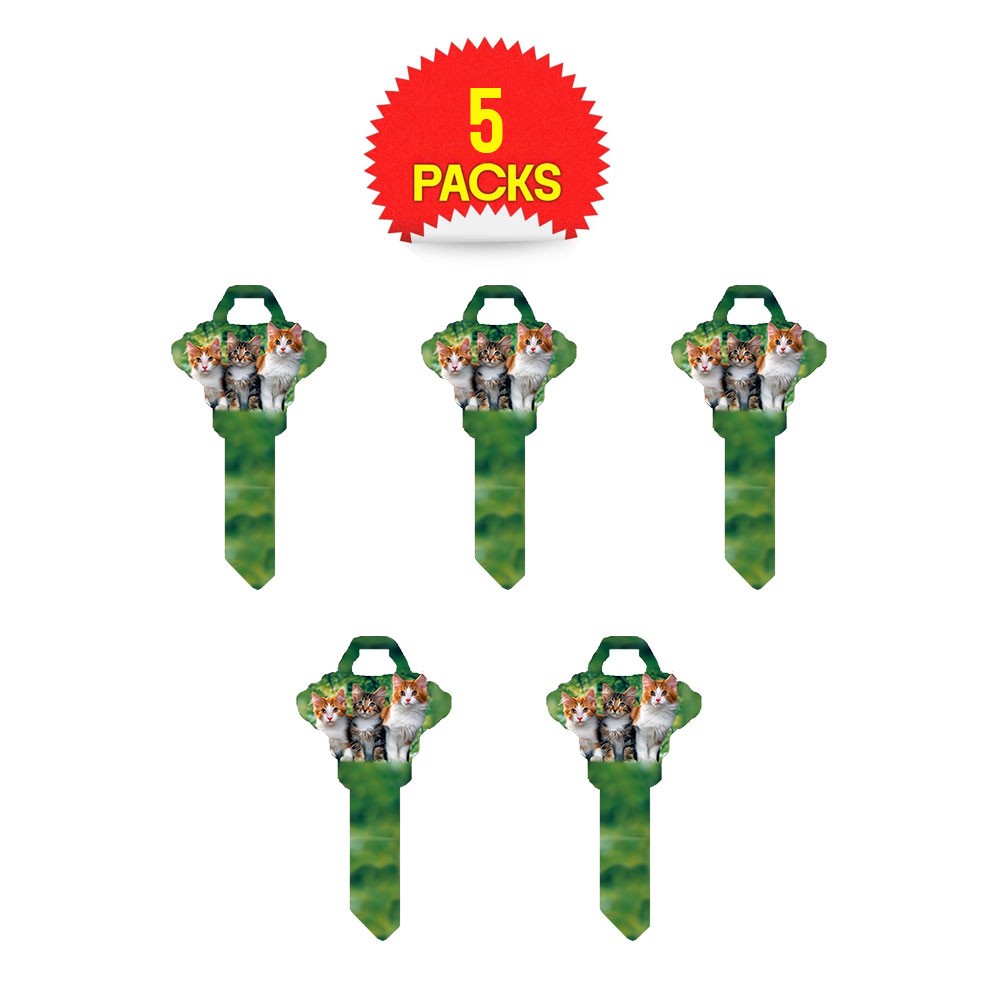 SC1 Kittens Key Blank