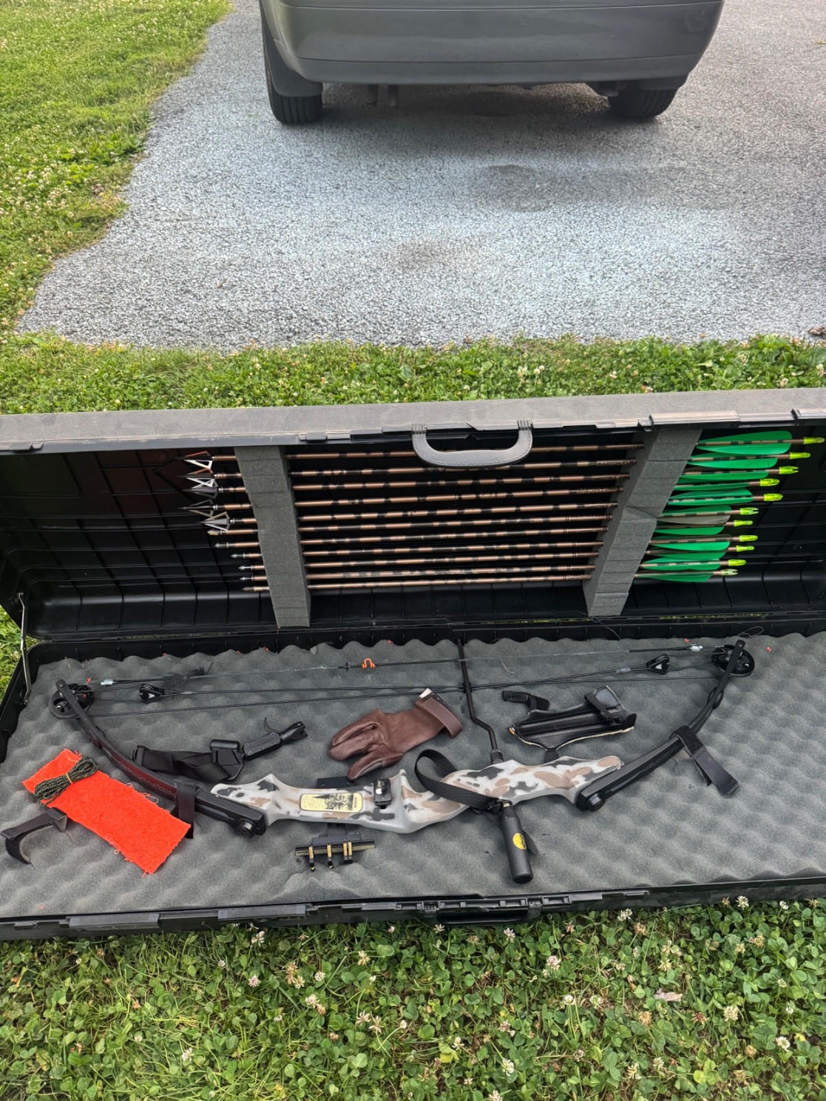 Martin Compound Black Panther Bow