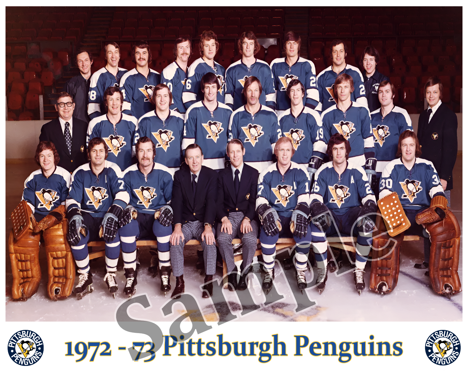 1972 - 73 Pittsburgh Penguins Team Picture Color 8 X 10 Photo Pic