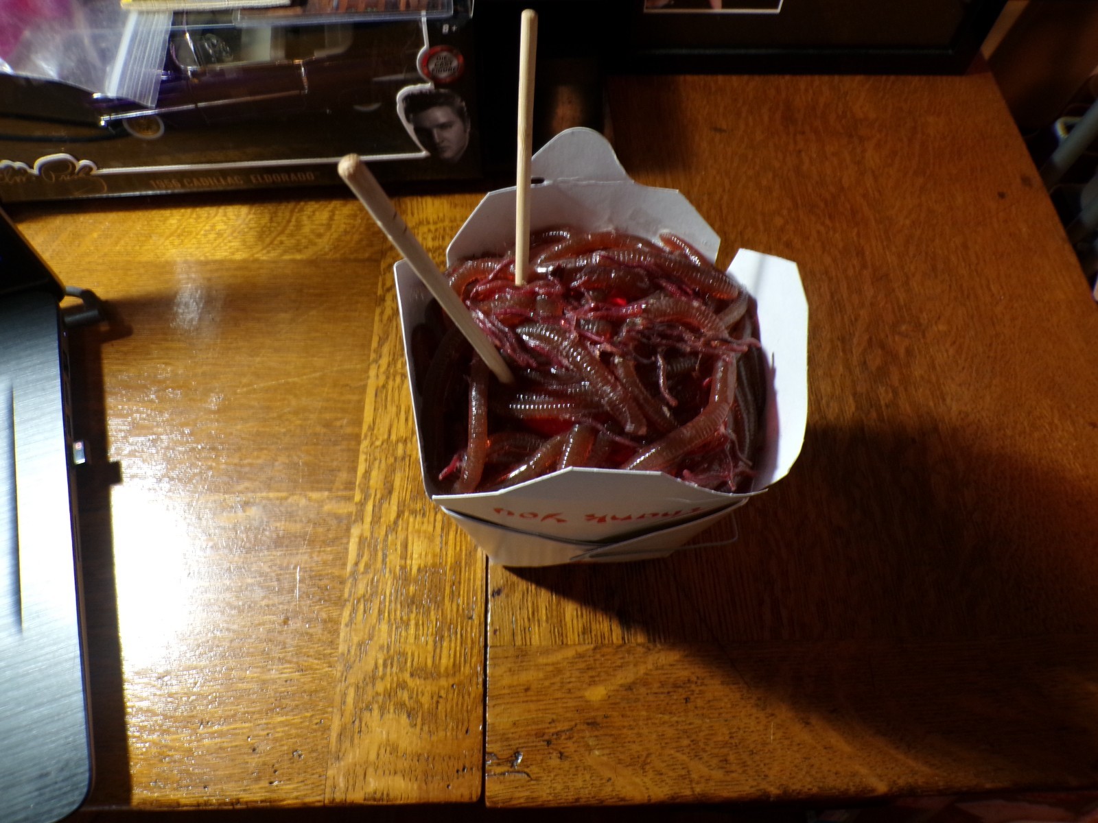 LOST BOYS MOVIE PROP CHINESE TAKE-OUT [WORMS] [LOWEST ON eBay] NEW FREE SHIP!!