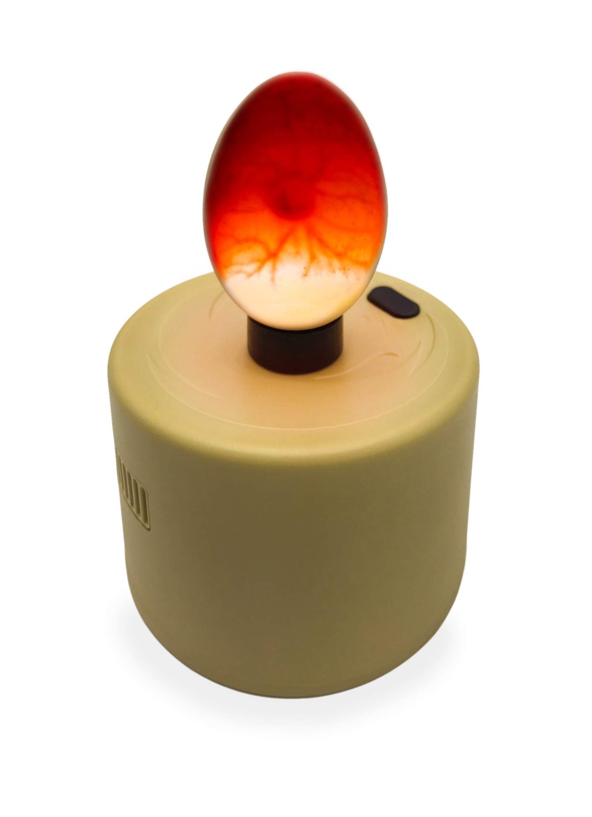 High Intensity LED Chicken Egg Candler/Tester – Battery Powered