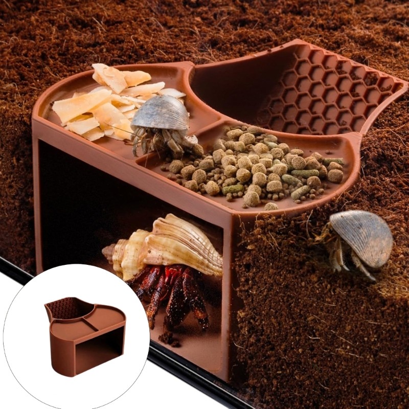 Hermits Crabs Plastic Dwelling Featuring Integrated Climbing Tunnel Double